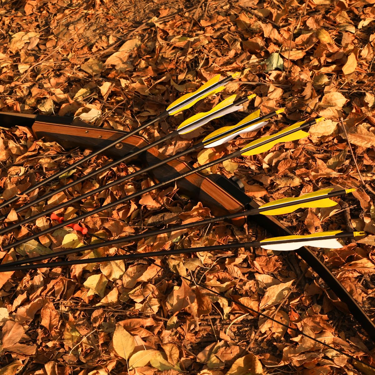 LWANO practice-range arrow on target ready for repetitive training