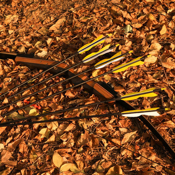 LWANO practice-range arrow on target ready for repetitive training