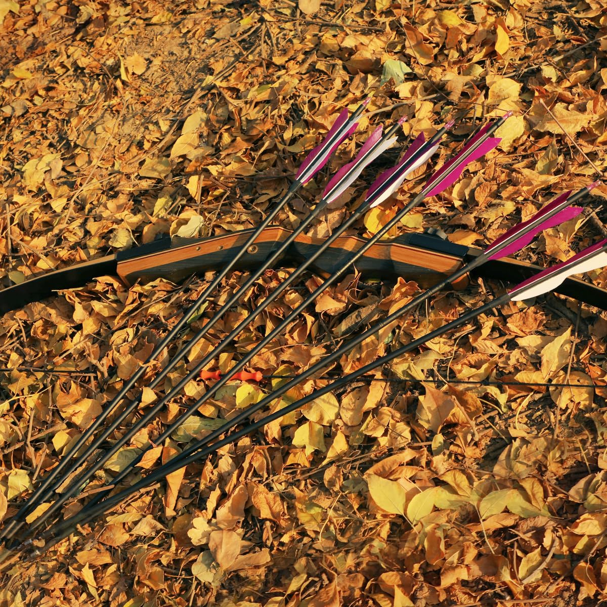 LWANO purple finish enhances visibility during practice and target sessions.