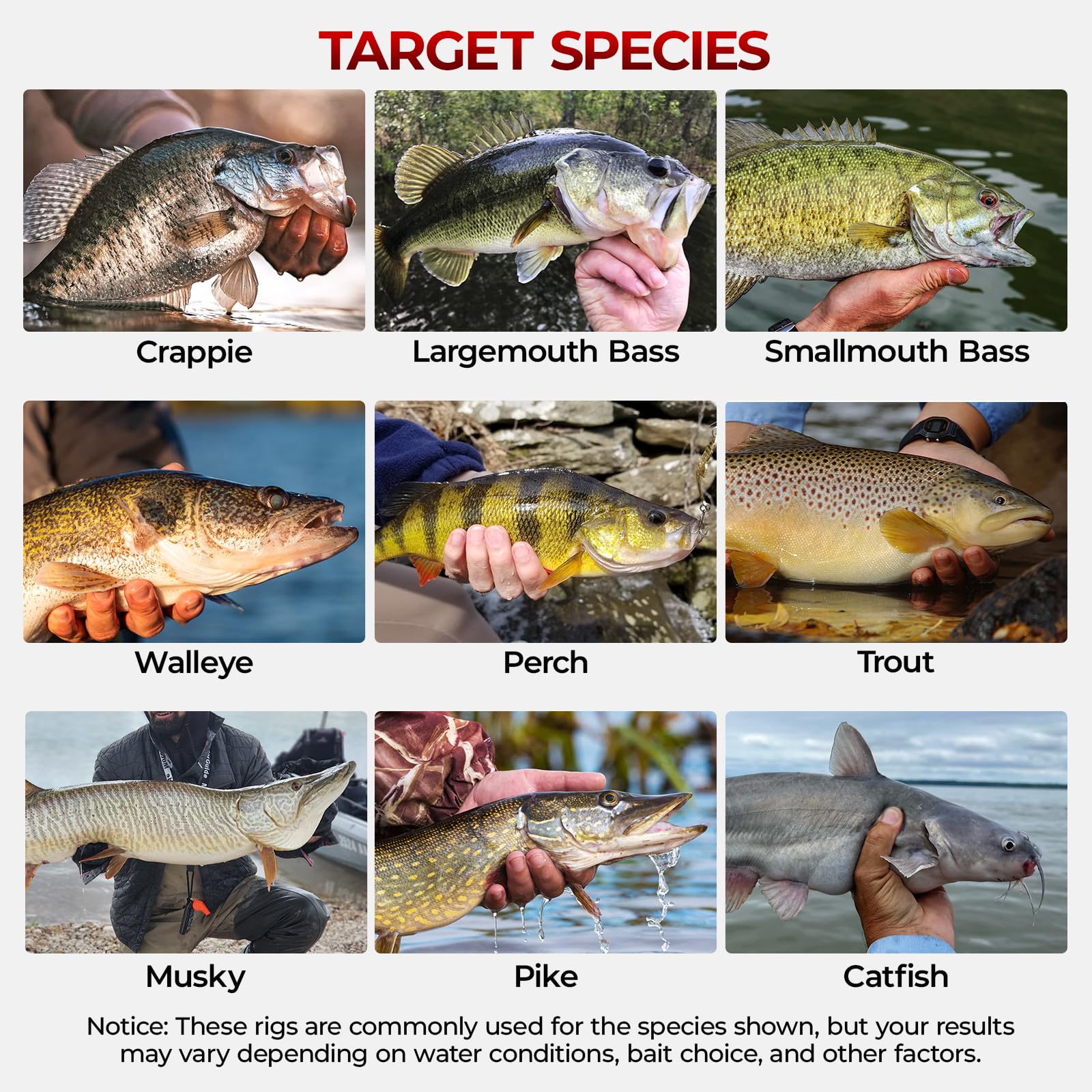 Sinker stops and bobber stoppers included for secure rigging