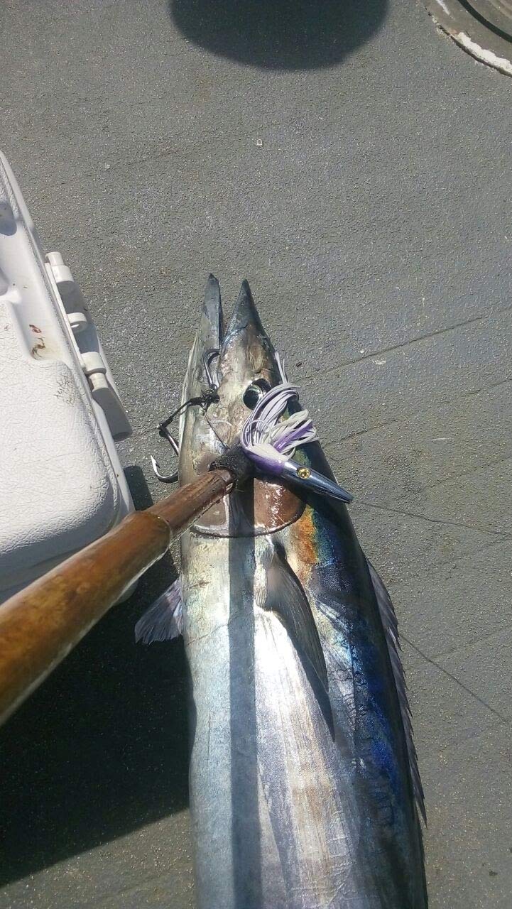 MagBay Lures diving-weighted head design supports faster trips and controlled depth.