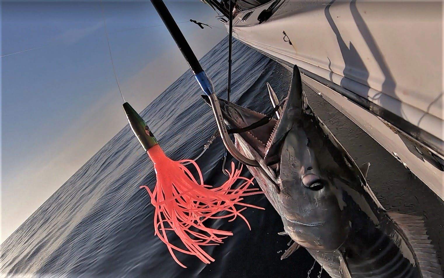MagBay Lures included lure bag stores two rigs securely for travel.