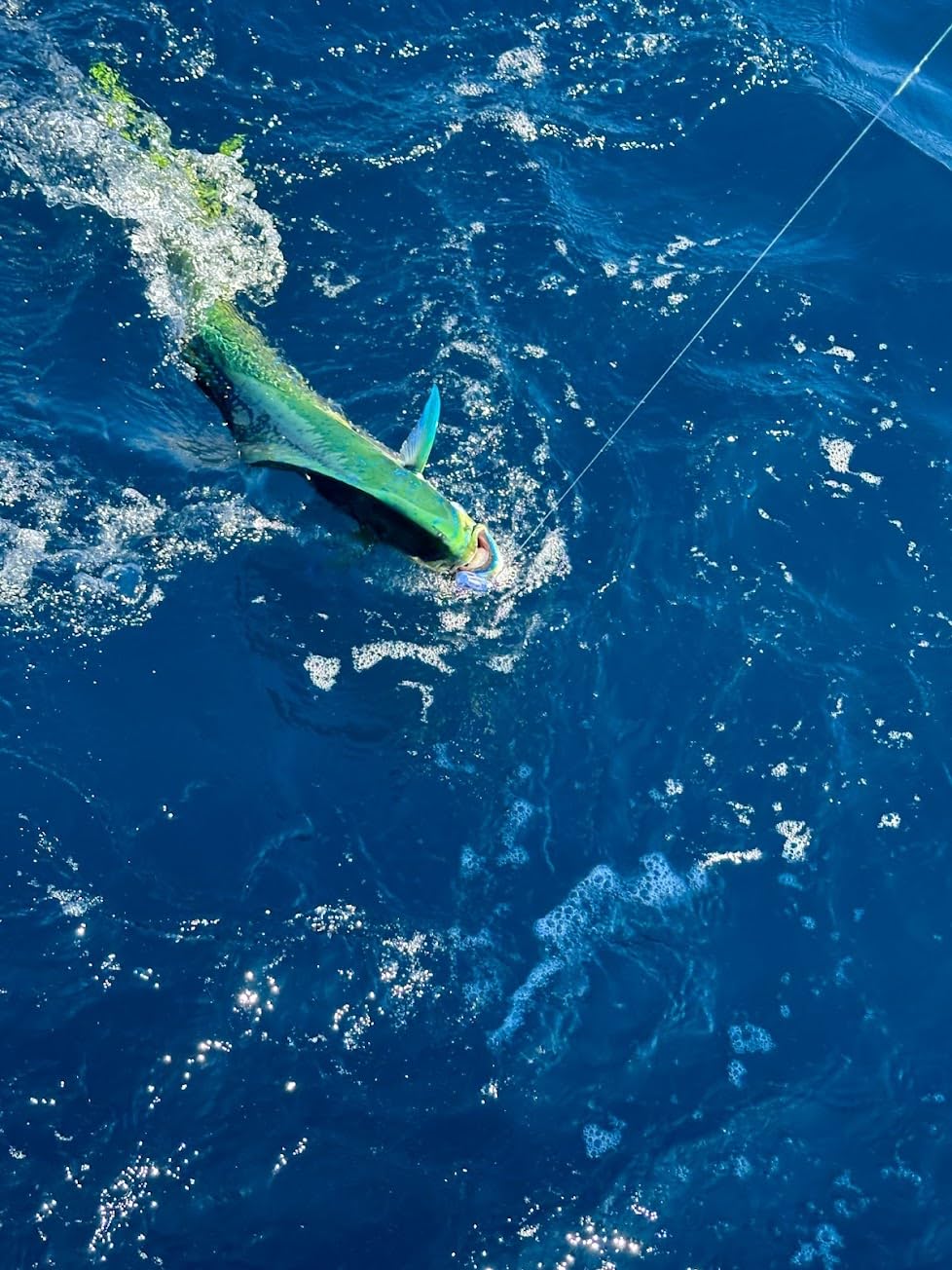 MagBay Lures RM5 UV 5-inch minnow designed for long casts
