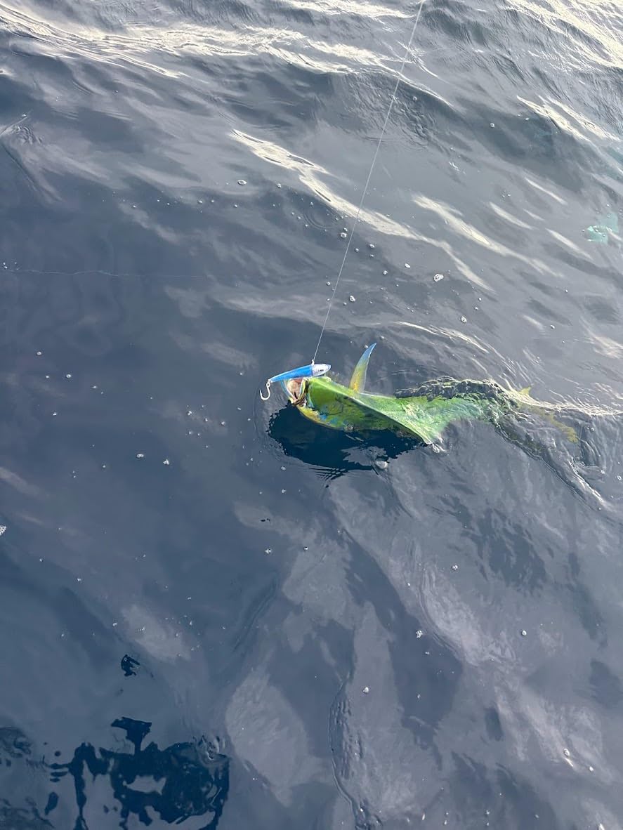 MagBay Lures RM5 UV lure long-cast design supports distant target engagement.