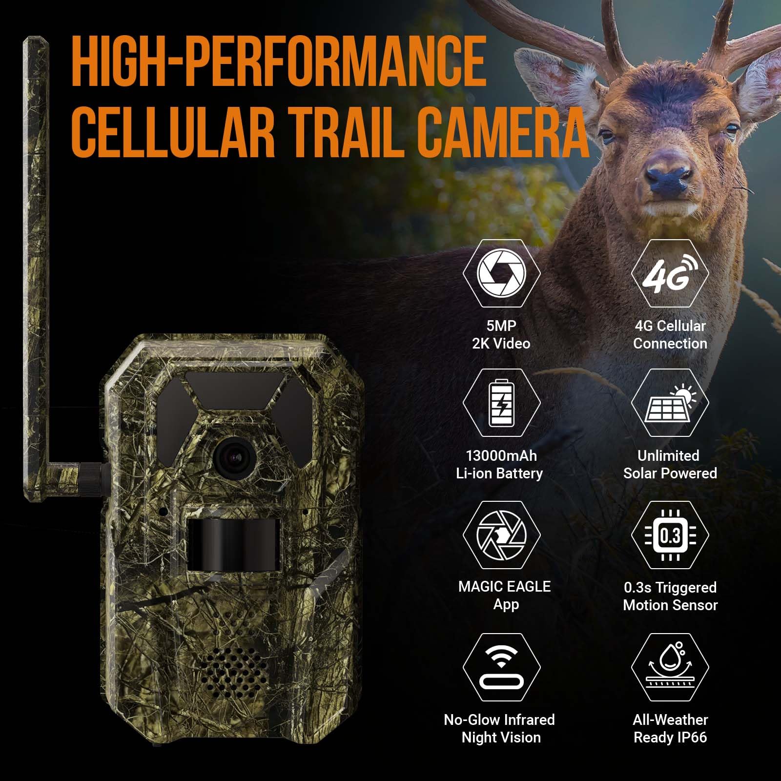 MagicEagle trail camera 2K video preview shows crisp, close-to-life footage during hunts.