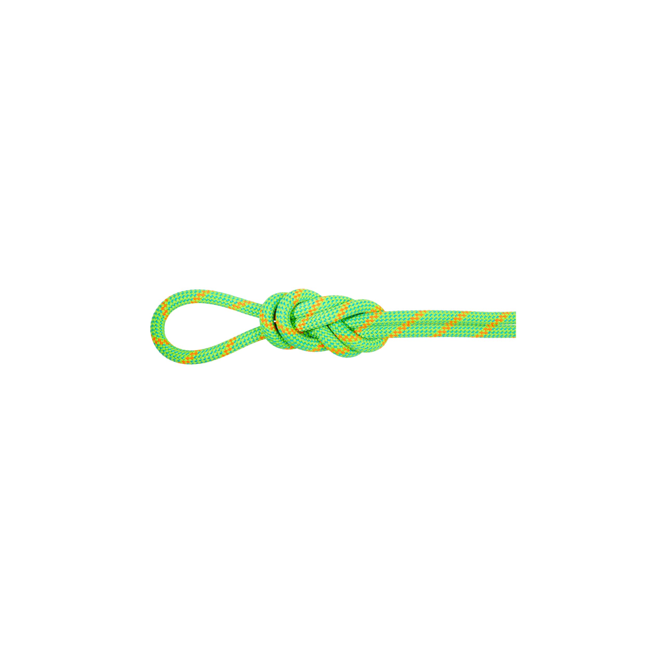 Mammut 8.0 Alpine Eco Dry Rope front view showing moisture-repellent finish