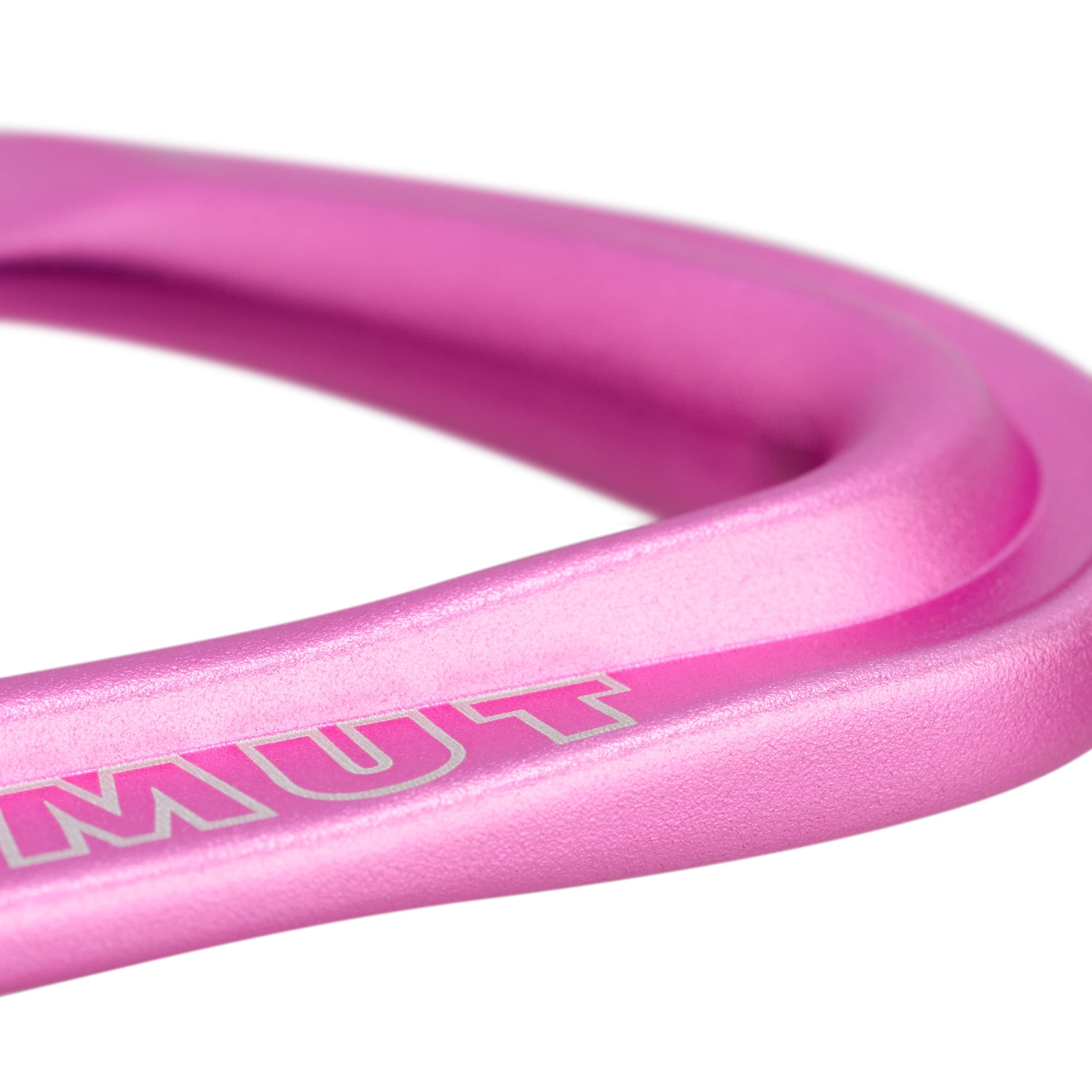 Mammut Workhorse Keylock 6-pack ergonomic carabiner close-up showing key lock nose