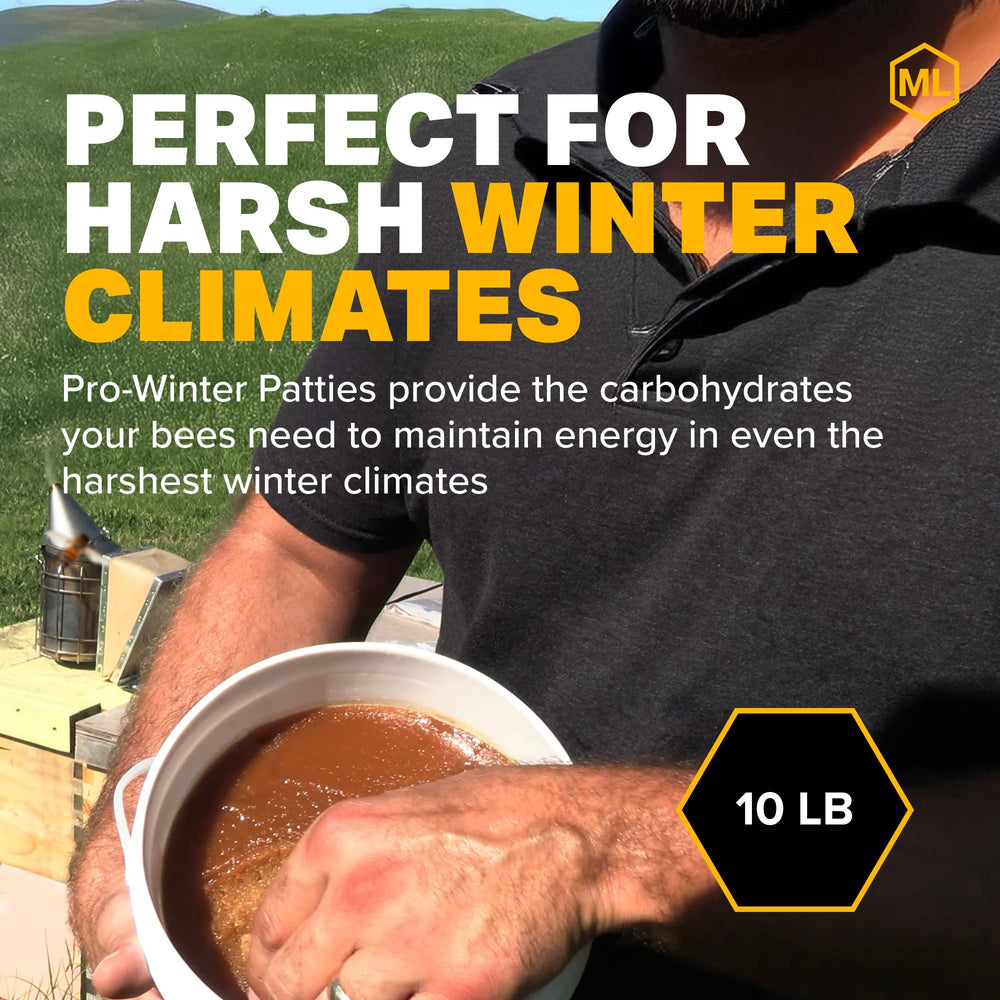 Bees on a winter setup with Pro-Winter Feed on top bars.