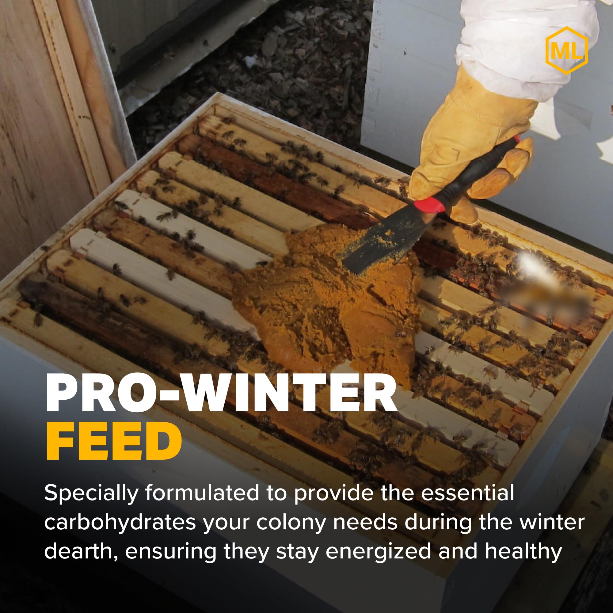 Close-up of Mann Lake Pro-Winter Feed patties showing texture and handling ease.