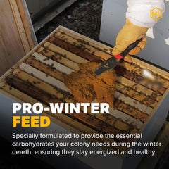 Close-up of Mann Lake Pro-Winter Feed patties showing texture and handling ease.