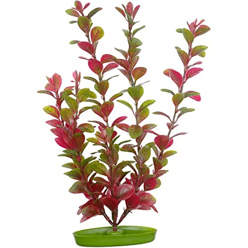 Marina Aquascaper red Ludwigia plant in tank, vibrant and realistic