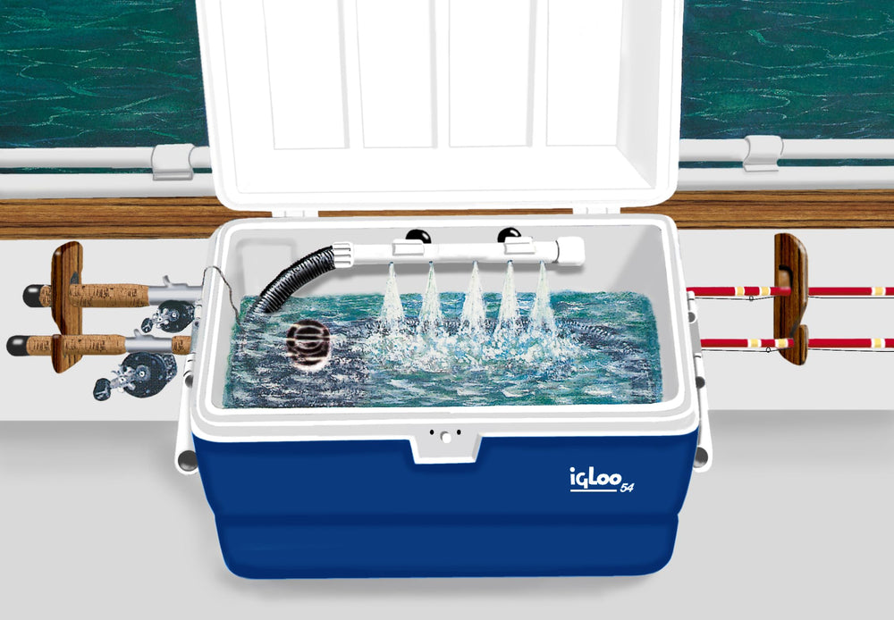 Marine Metal SS-212 kit components image highlighting complete package contents.