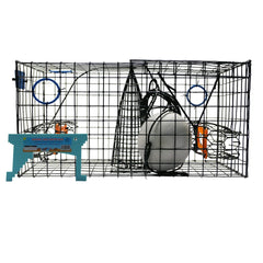 Maryland blue crab pot trap with PVC-coated wire mesh and two escape rings
