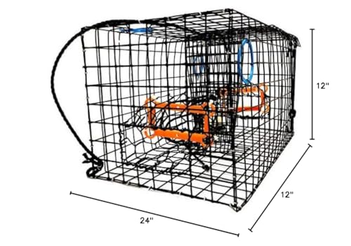 Trap showing Turtle Excluder Device (TED) for regulation