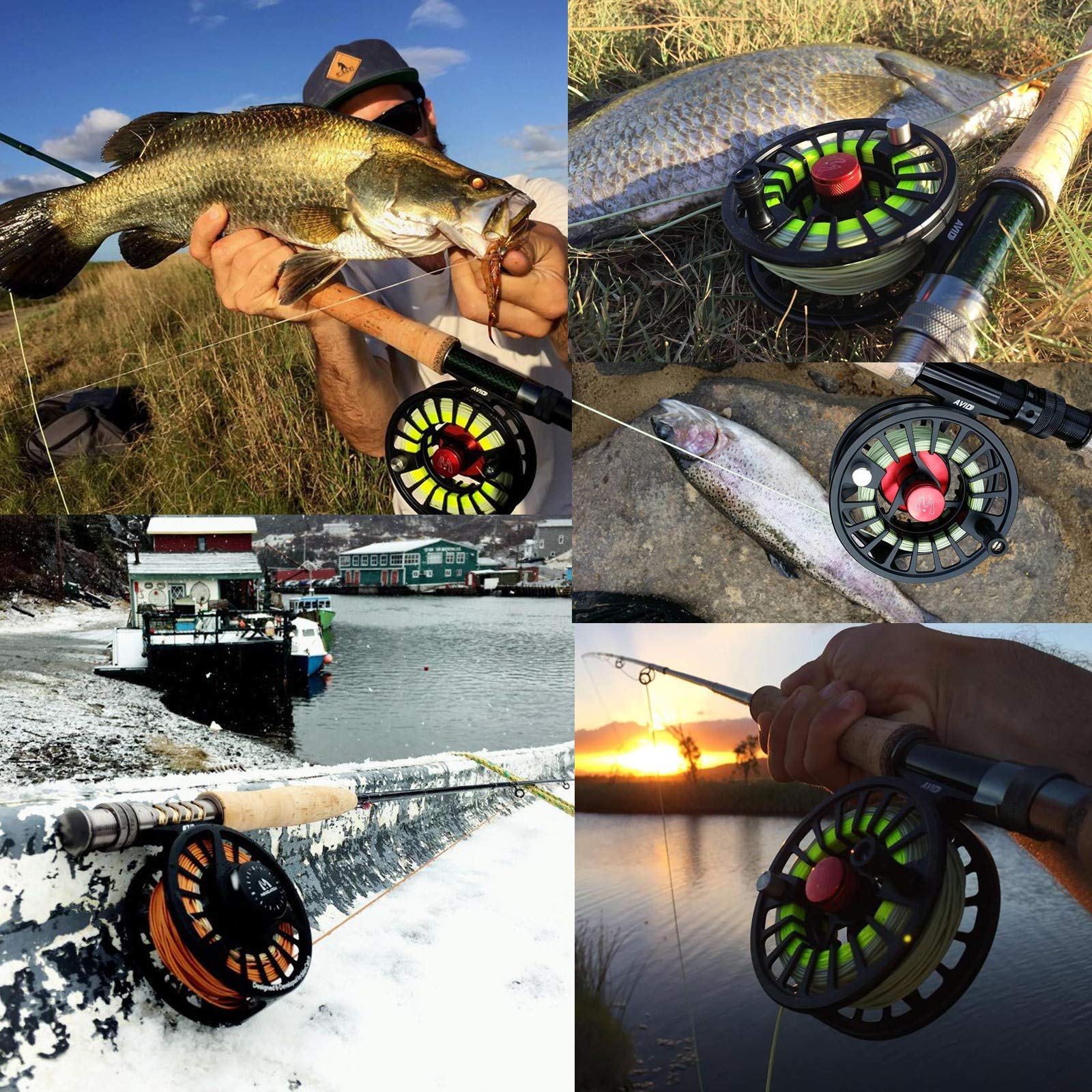 Maxcatch AVID reel with backing and tippet displays ready tackle for 7/8 weight.