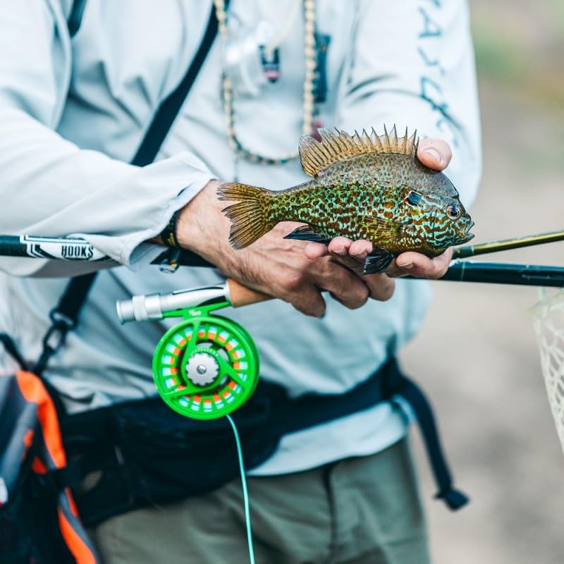 Maxcatch Tino reel line pre-loaded green model ready for immediate fishing.