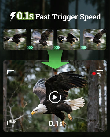 MAXDONE infrared night vision captures animals up to 65ft with minimal disturbance.