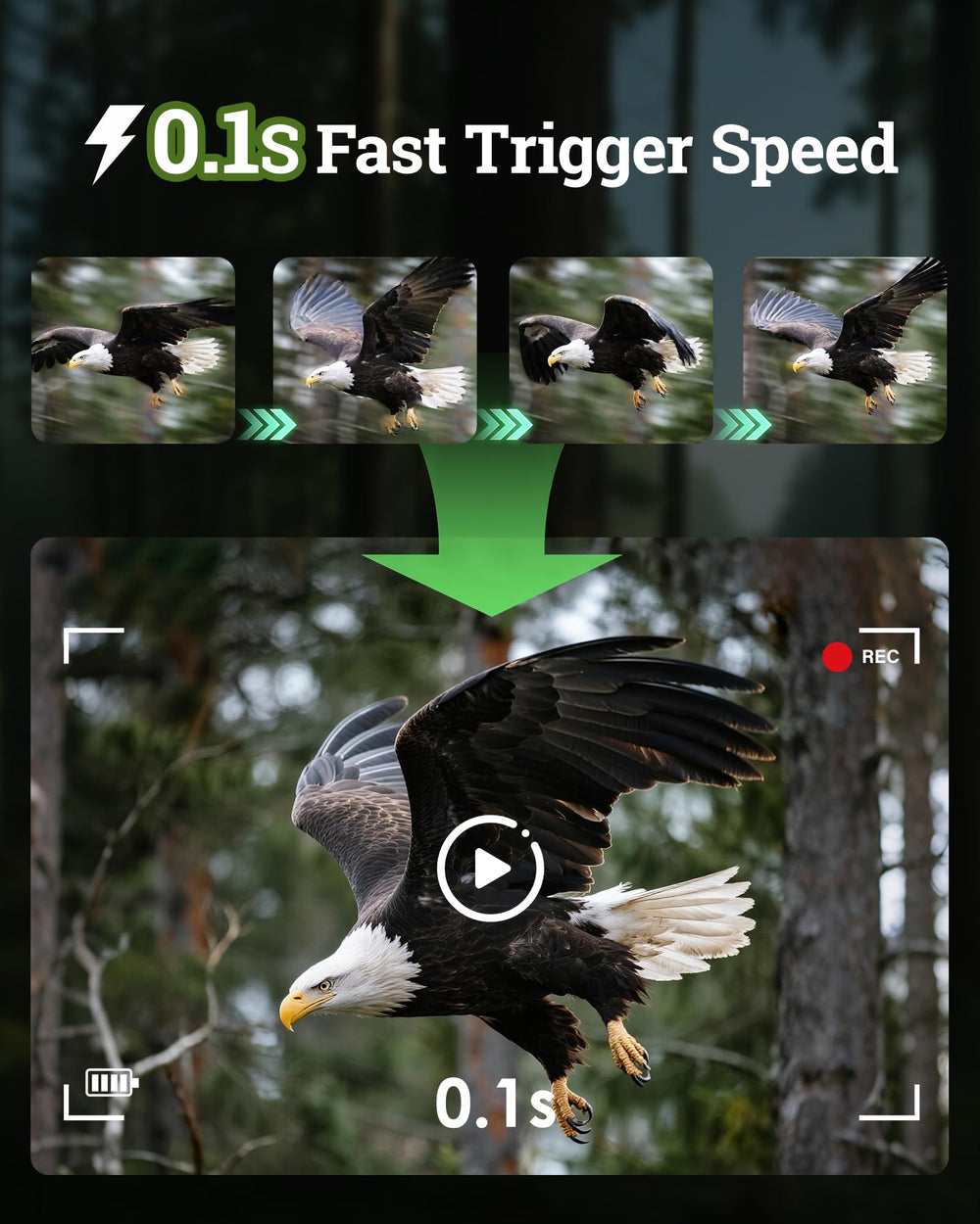 MAXDONE infrared night vision captures animals up to 65ft with minimal disturbance.