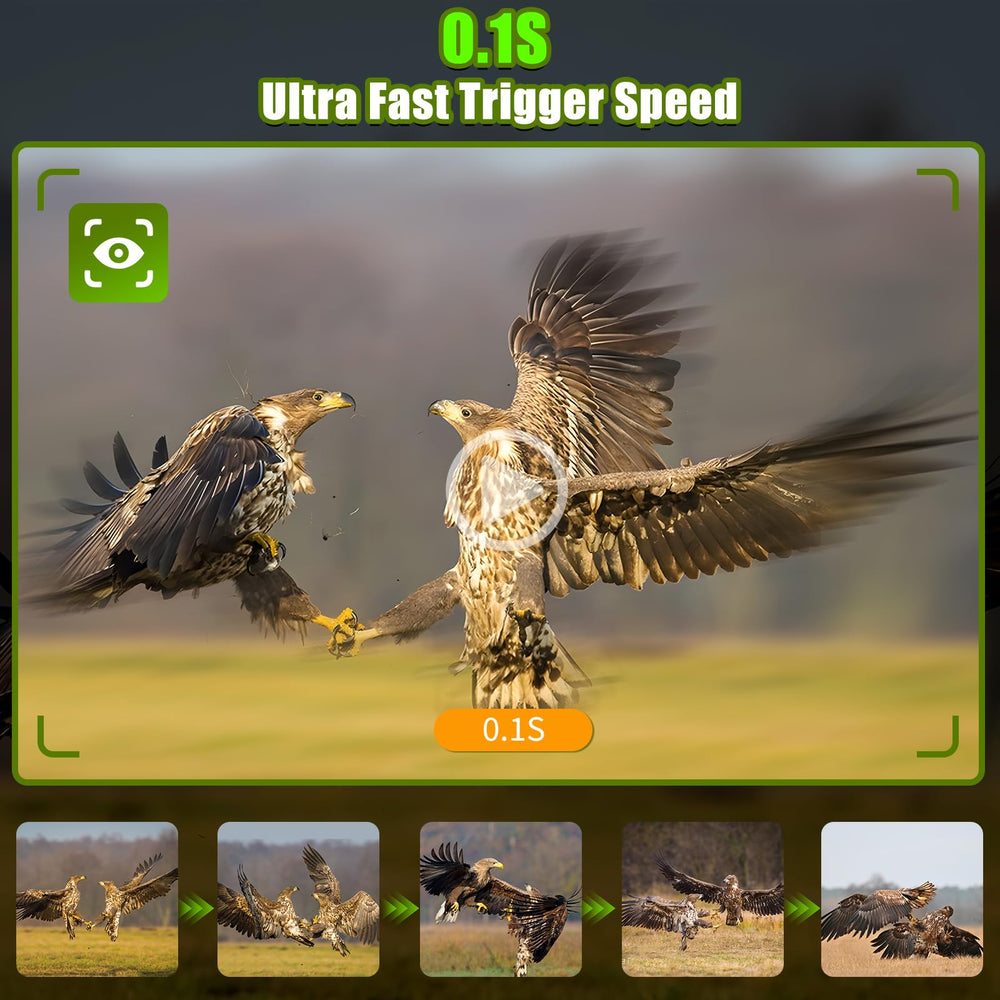 MAXDONE 48MP image sample demonstrates crisp wildlife details.