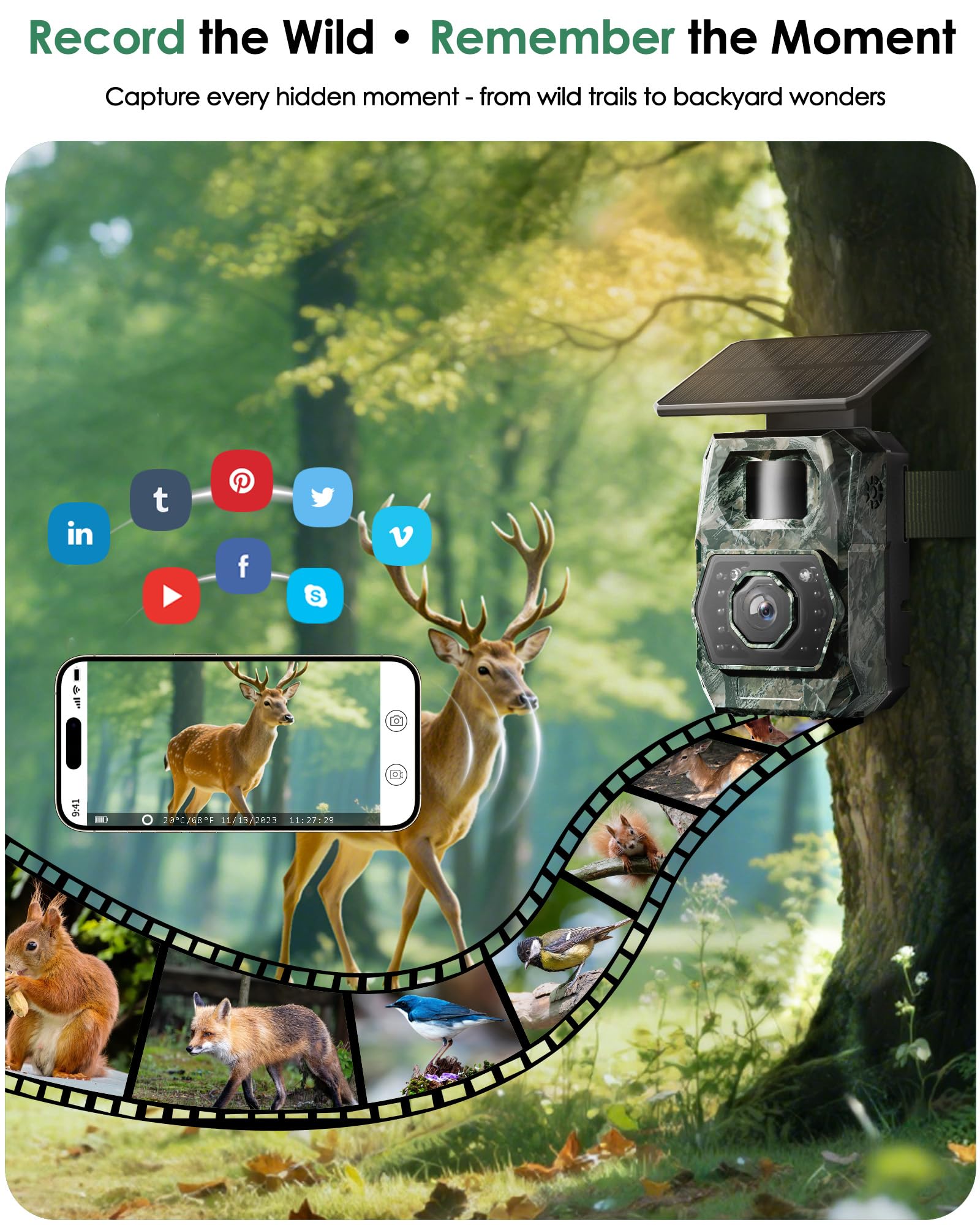 MAXDONE Solar Trail Camera IP66 durability withstands rain, dust, and harsh conditions