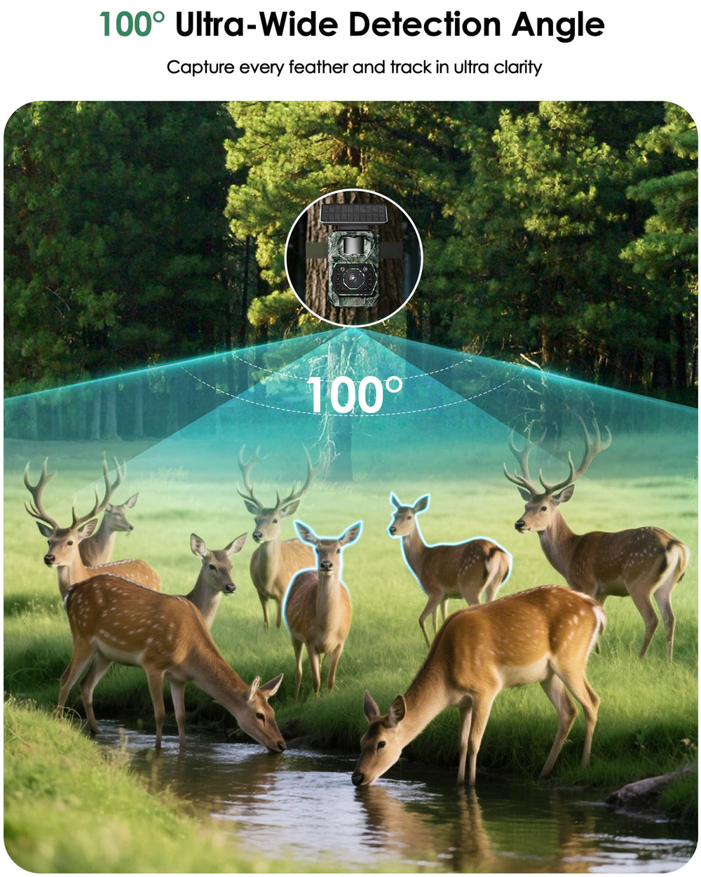 MAXDONE Solar Trail Camera preinstalled 32GB card with room to expand