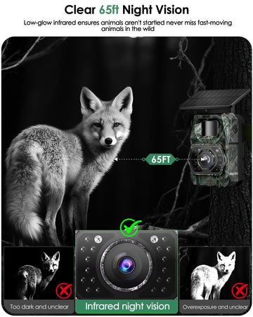 MAXDONE Solar Trail Camera rapid-trigger captures fast wildlife moments
