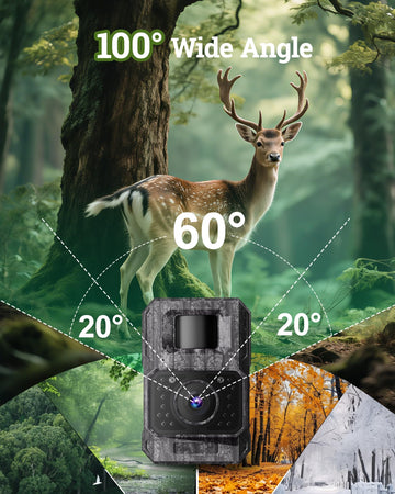 MAXDONE time-lapse and scheduled shooting helps plan seasonal wildlife monitoring.