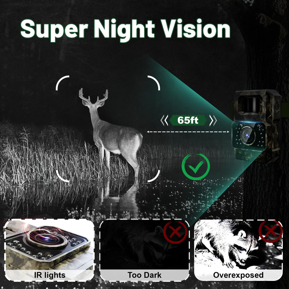 MAXDONE 1080p video sample demonstrates smooth wildlife footage with easy app transfers.