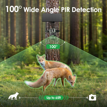 MAXDONE 65 ft detection range and 100° field of view for broad surveillance