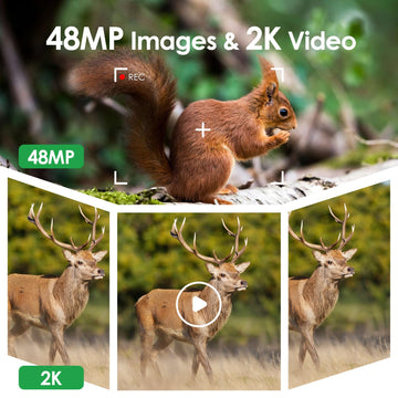 MAXDONE no glow night vision preserves wildlife with infrared illumination