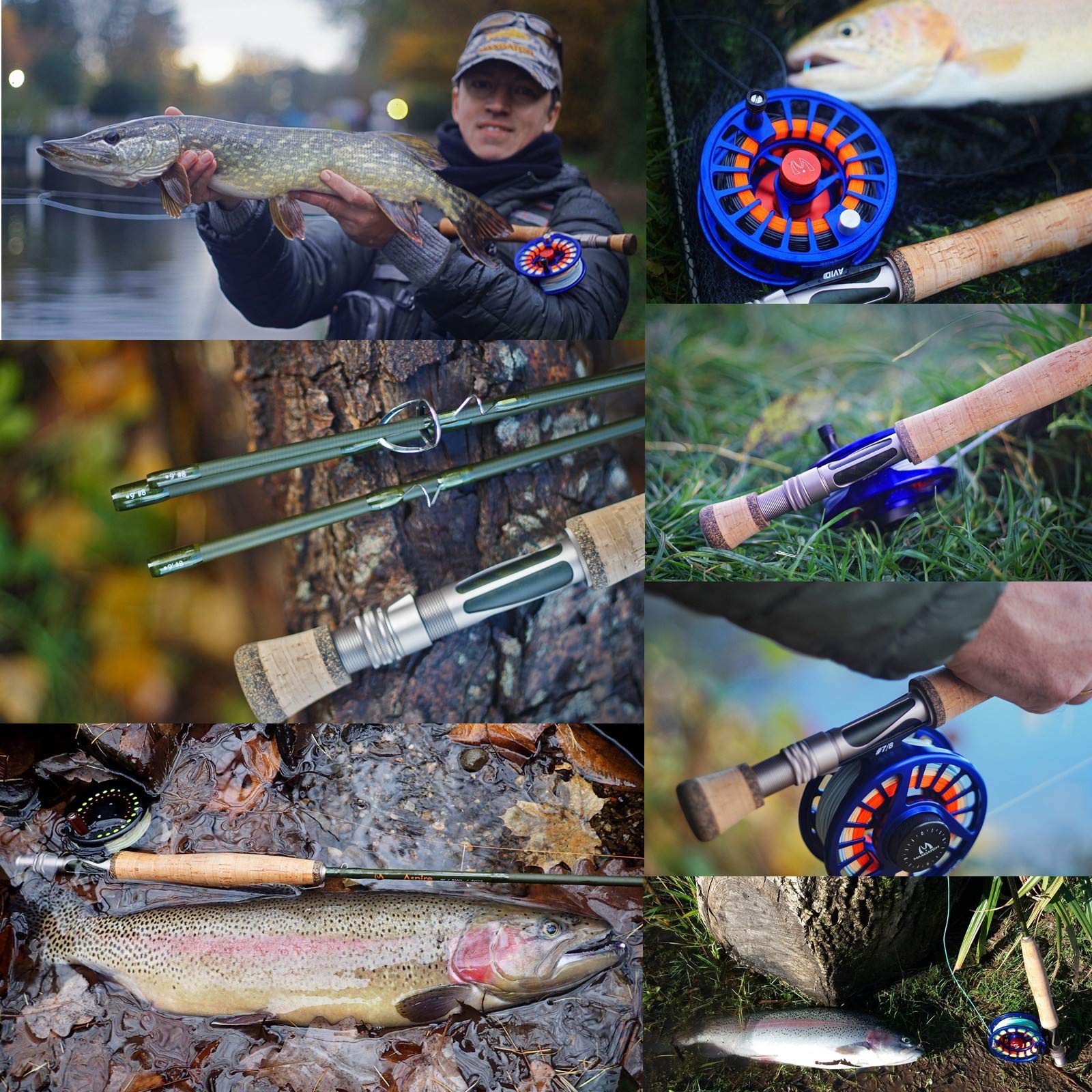 Aspire fly rod in protective case