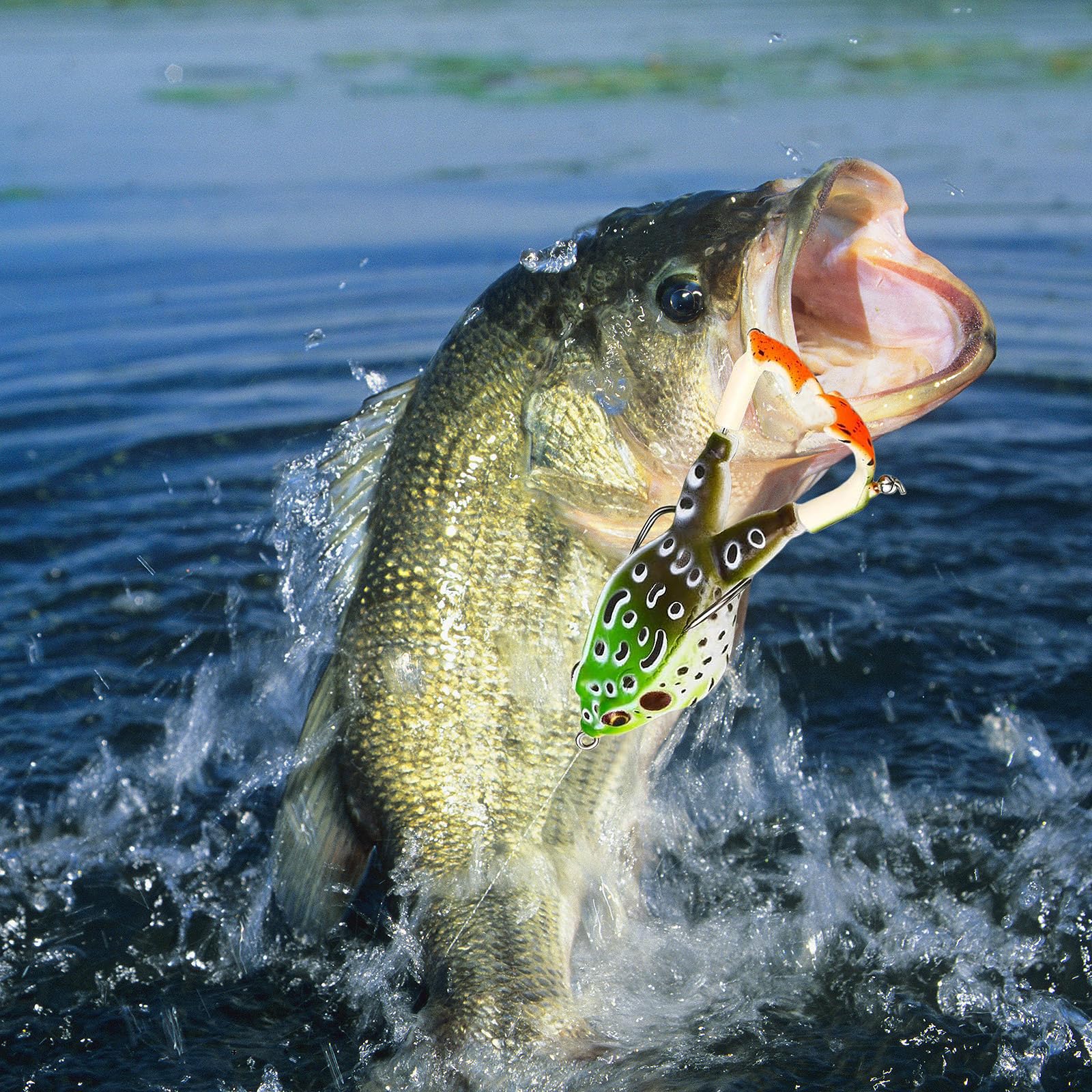 Topwater frog lure creating surface action