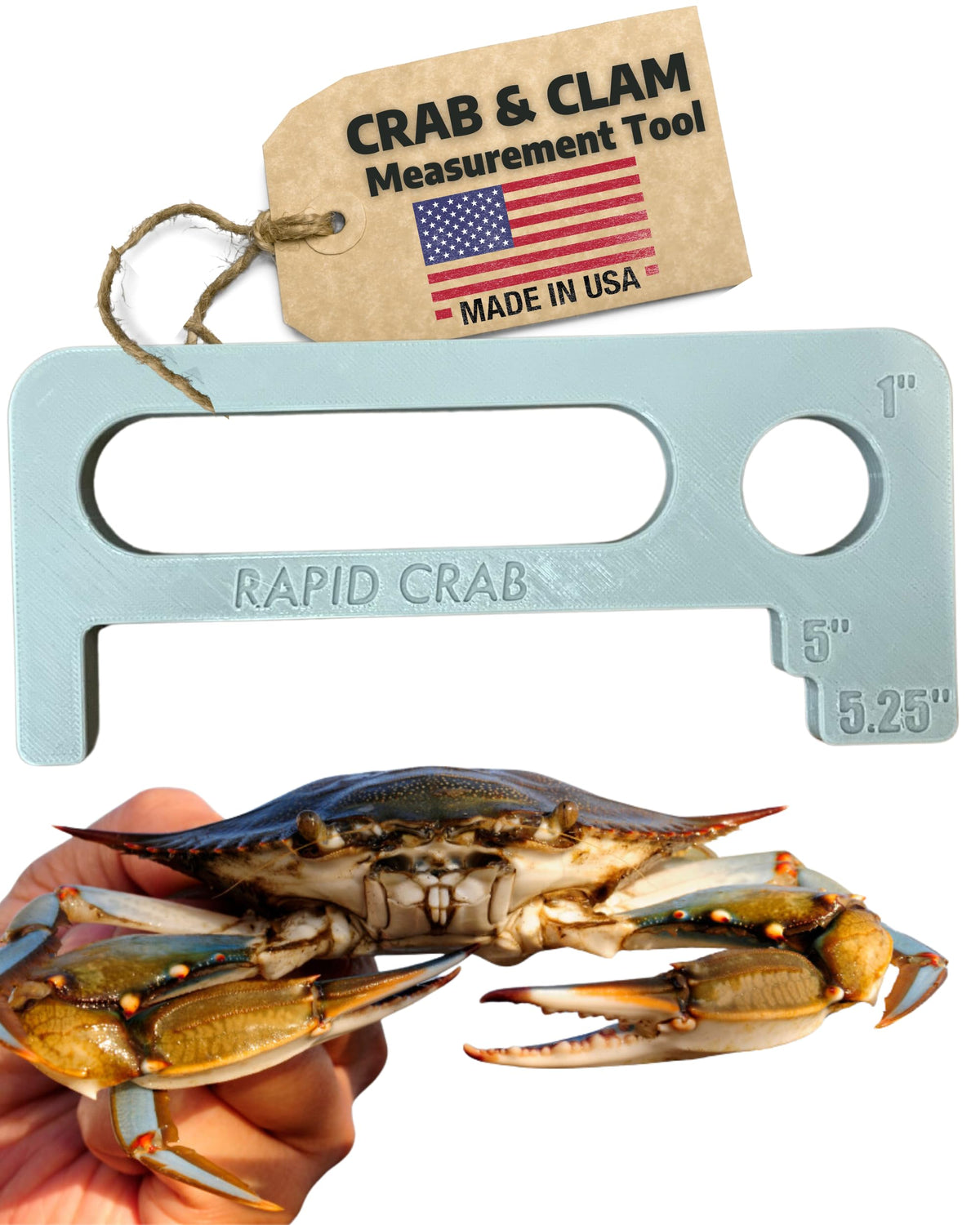 Floating Maryland crab measuring tool on water