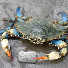 MYDOGTAG FWC crab trap tag - back view showing serialization