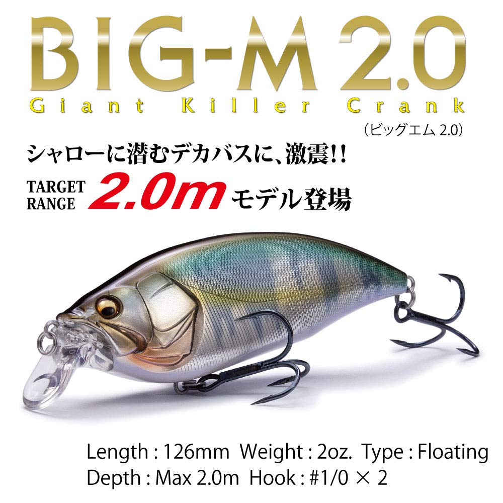 Megabass Big-M 2.0 BBC side view highlights flicker and tight roll for depth targets