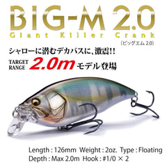 Megabass Big-M 2.0 BBC side view highlights flicker and tight roll for depth targets