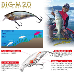 Megabass Big-M 2.0 BBC in-hand demonstrates rugged casting for deep cover