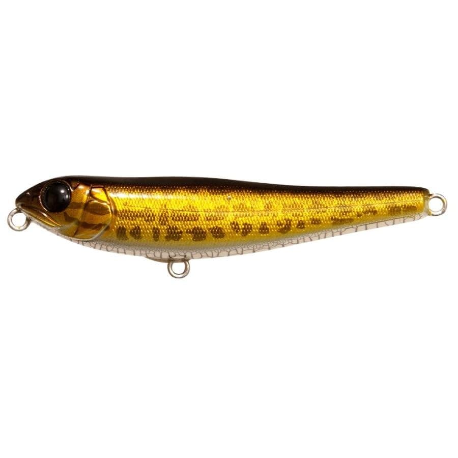 Megabass Dog X Jr. Coayu BFS Raigyo action shot highlights dynamic balance for enticing walking action.