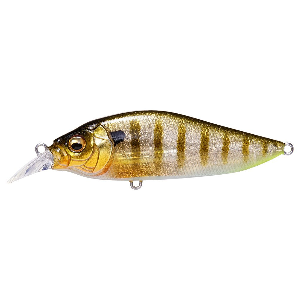 Megabass Flap Slap LBO lure front view highlights Galaxy Gill for topwater action