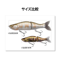Megabass i-Slide 265R Mega Shad rigging view emphasizes reinforced wire and dual hooks.