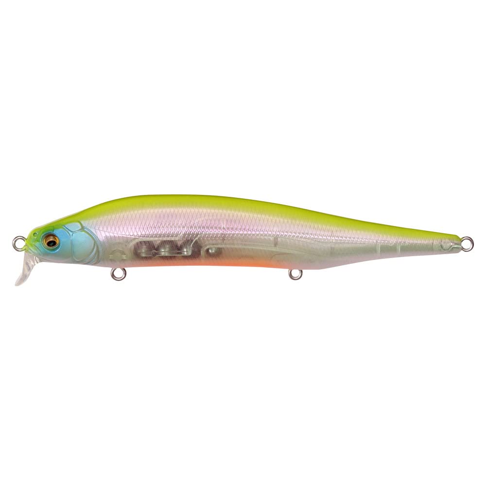 Megabass ITO Shiner SSR Aurora Reaction front view for shallow-water casting and reaction bites.
