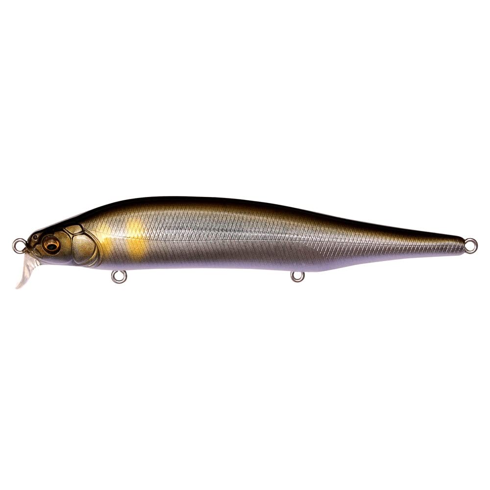 Megabass ITO Shiner SSR Ayu front view highlights compact shallow-lure design for near-surface retrieves.