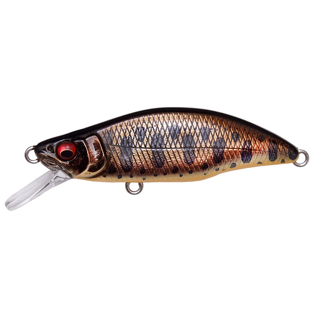 Megabass Megabus GH64 Humpback AL Sabi Yamame lure in water with enticing action for trout
