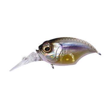 Megabass MR-X Griffon front view highlighting compact floating lure for precise shallow cranking.