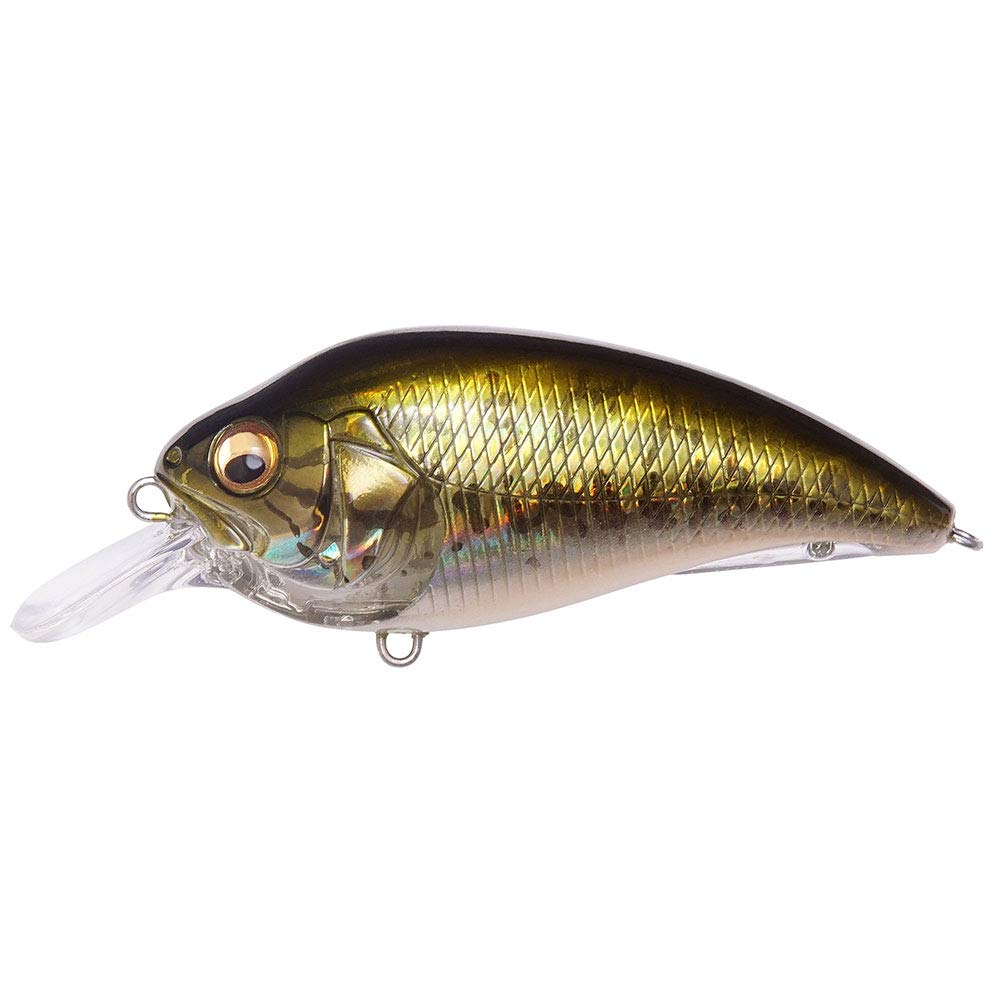 Megabass Super-Z Z1 GG Bus front view shows compact 53mm profile for precise shallow-water casts