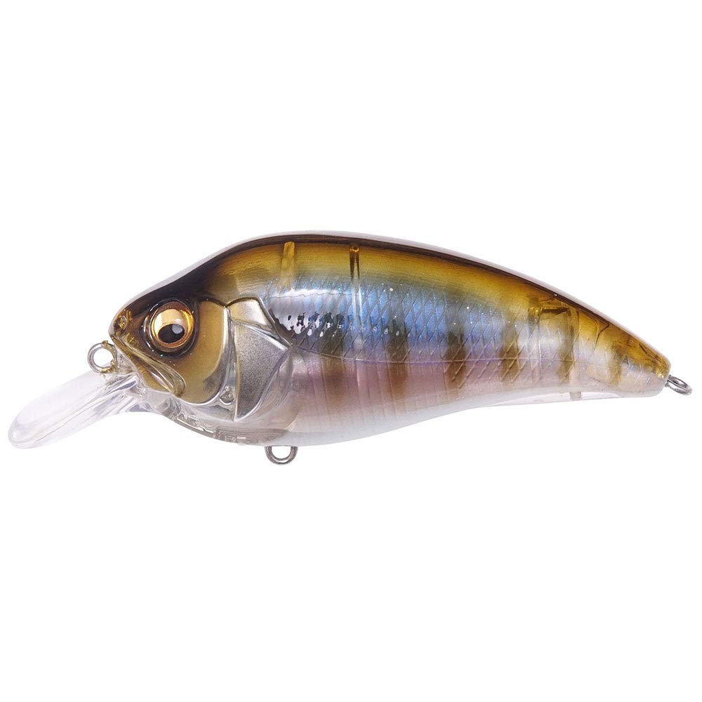 Megabass Super-Z Z1 Gilukko top view shows compact shallow lure ideal for quick retrieves