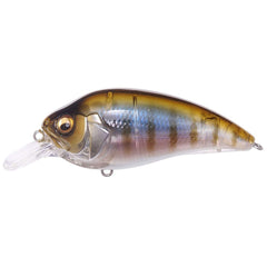 Megabass Super-Z Z1 Gilukko top view shows compact shallow lure ideal for quick retrieves