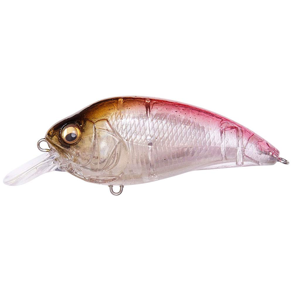 Megabass Super-Z Z1 GP Cotton Wakasagi front-angle image shows stable shallow performance.