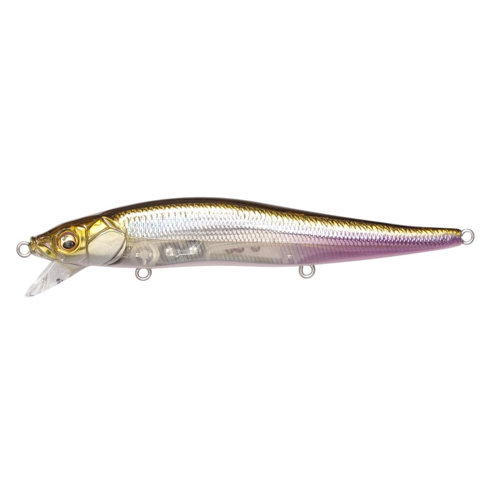 Megabass Vision ONETEN SR HT ITO Wakasagi front view showing compact profile for shallow jigging