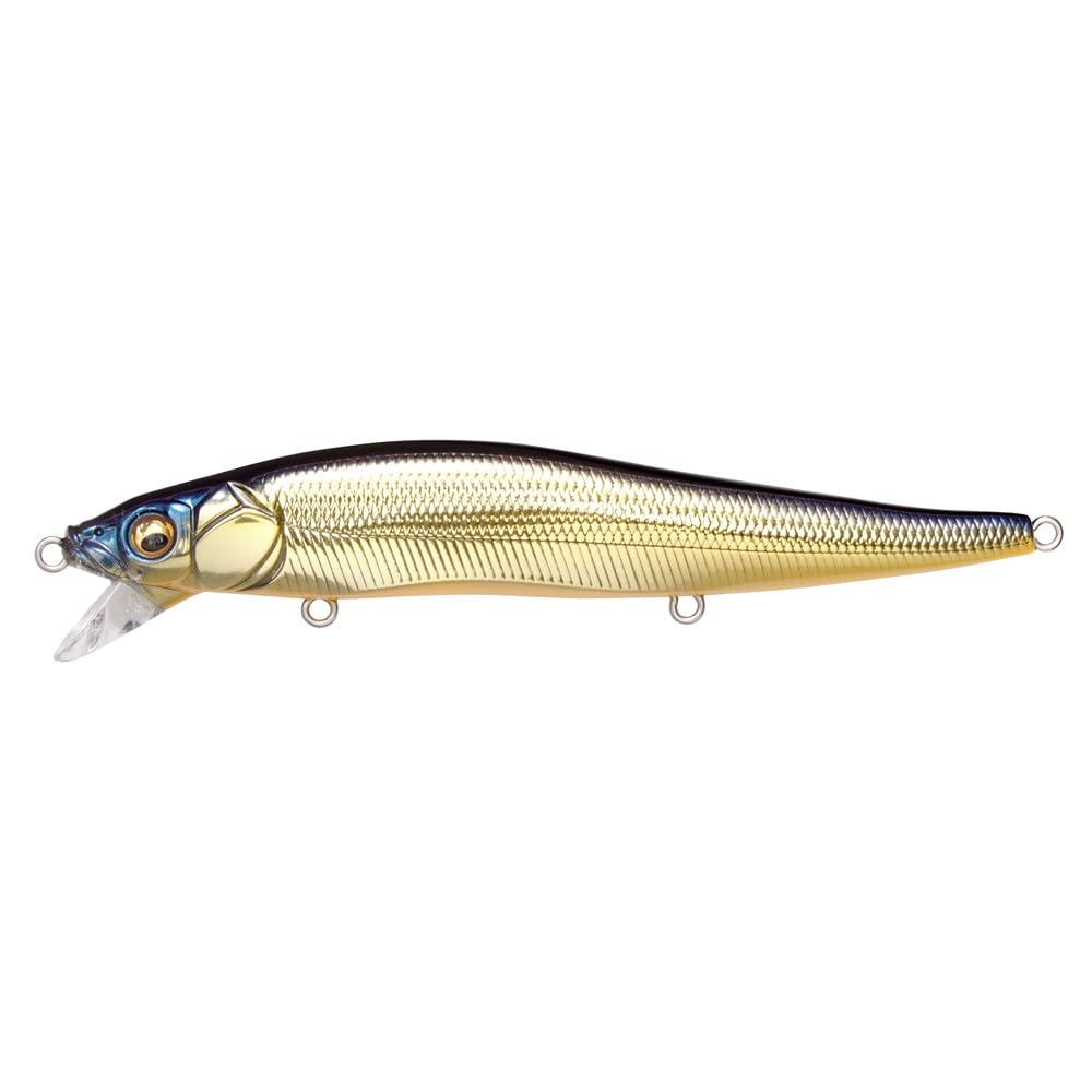 Megabass Vision ONETEN SR M Champagne Kinkro – front view; shallow-diving action for close-range bites